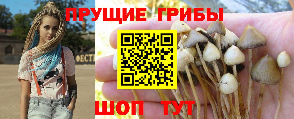 Псилоцибиновые грибы прущие грибы  Вход с VPN  Семилуки  Псилоцибиновые грибы мухоморы 